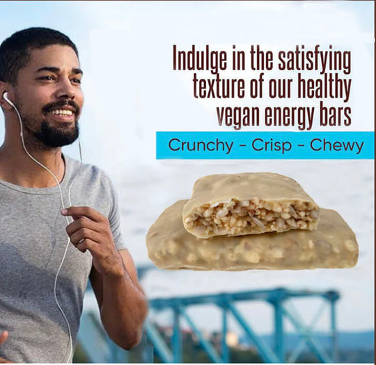 Coconut Vegan Plant Based Protein nutritional Bars 6 or 12 PACK