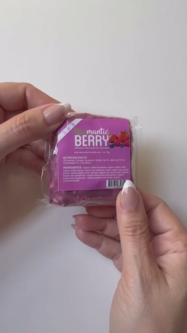 Mixed Berry Mini Vegan Protein Bar, Nut-Free. Pack of 20