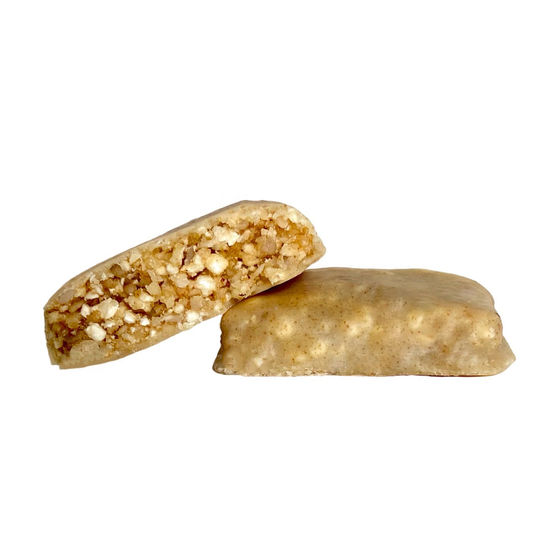 Coconut Mini Vegan Protein Bar. 1oz